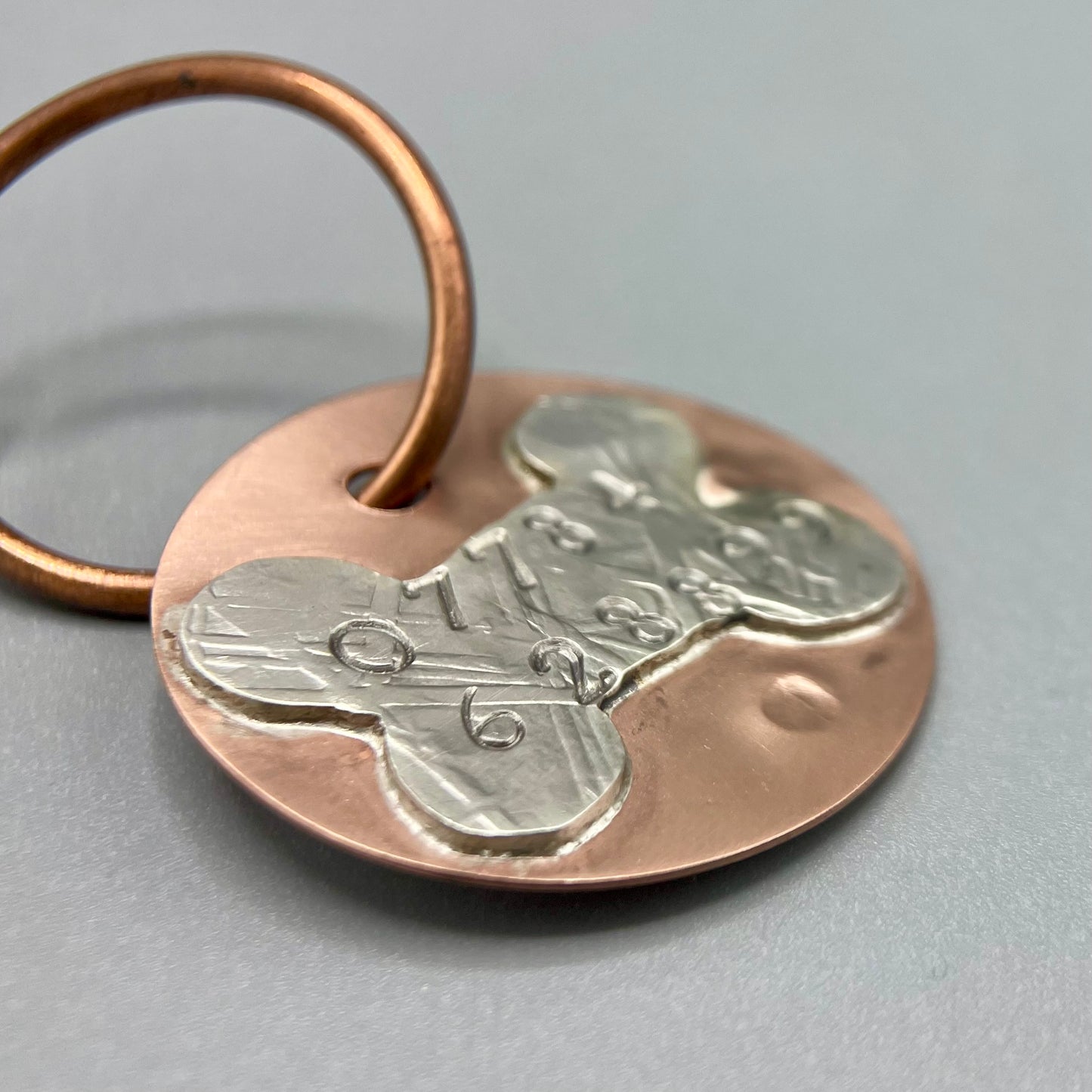 Pet Tag Workshop