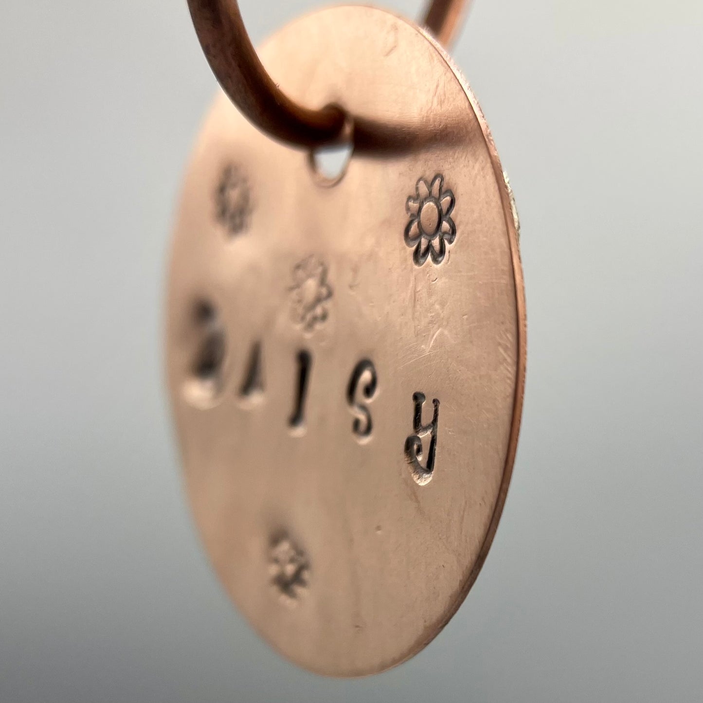 Pet Tag Workshop