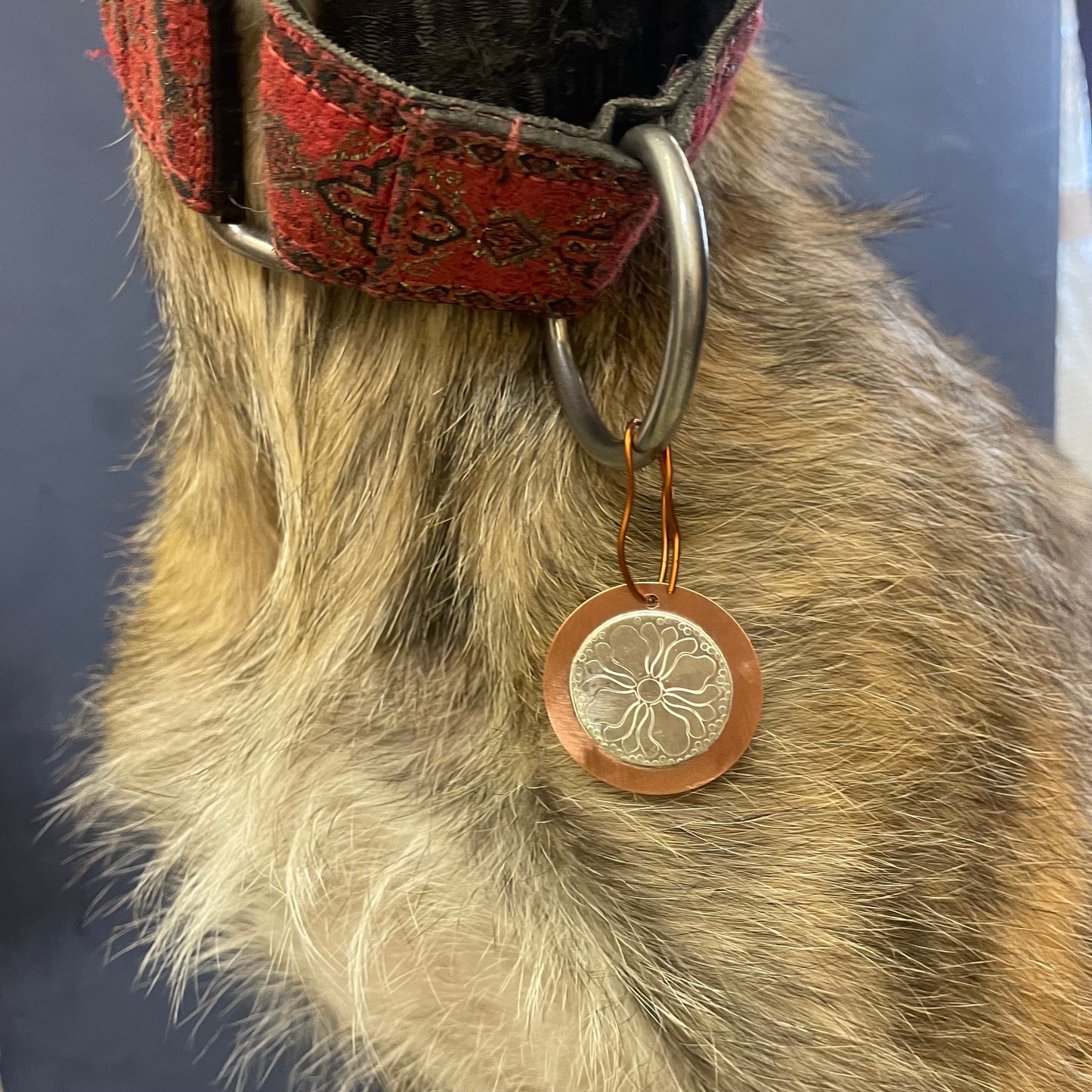 Pet Tag Workshop