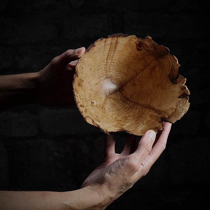 Alexei Sawyer – Apple Wood Vessel XIV (Wood)