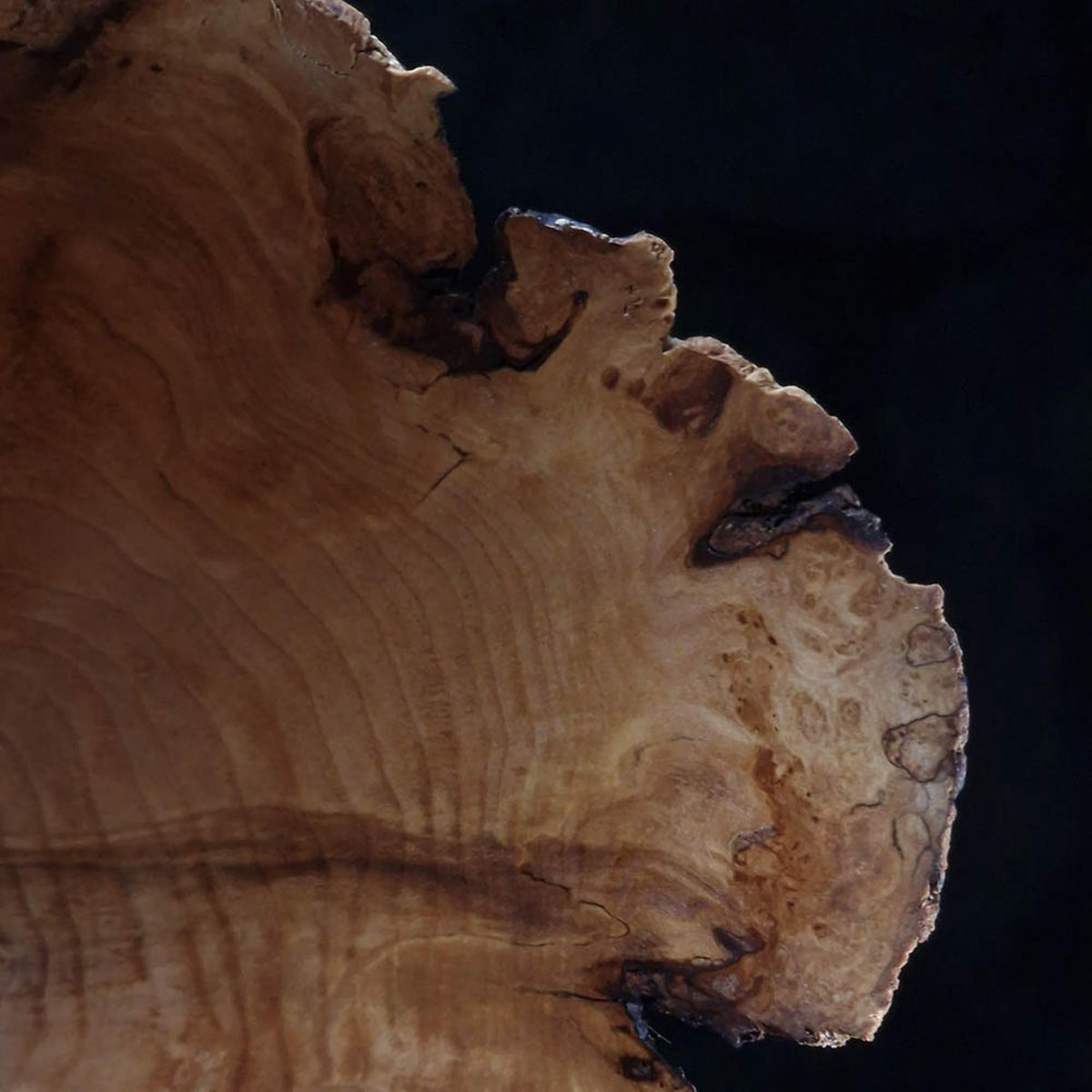 Alexei Sawyer – Apple Wood Vessel XIV (Wood)