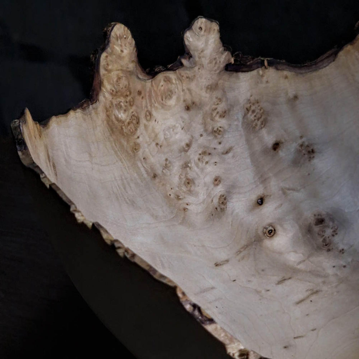 Alexei Sawyer – Apple Wood Vessel VI