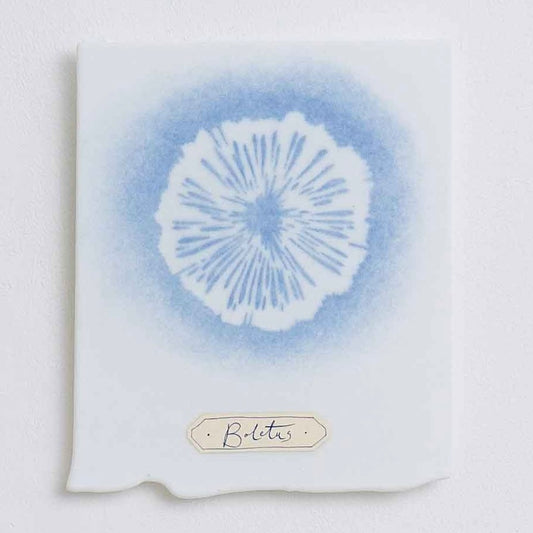 Verity Pulford Glass Cyanotype 'Boletus'