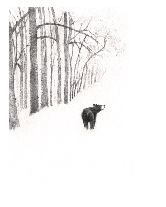 Esther Connon - Bear in the Woods Print