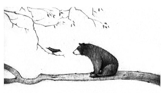 Esther Connon - Bear on Branch Print
